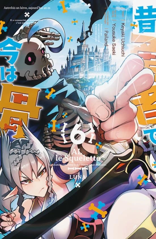 Tome 6
