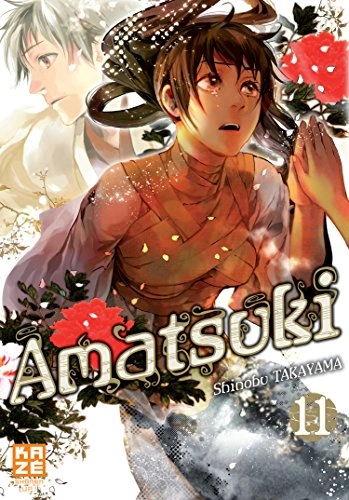 Tome 11