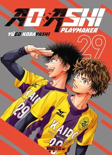 Tome 29