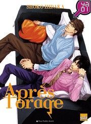 Couverture de Après l'orage