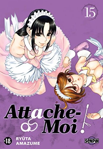 Tome 15