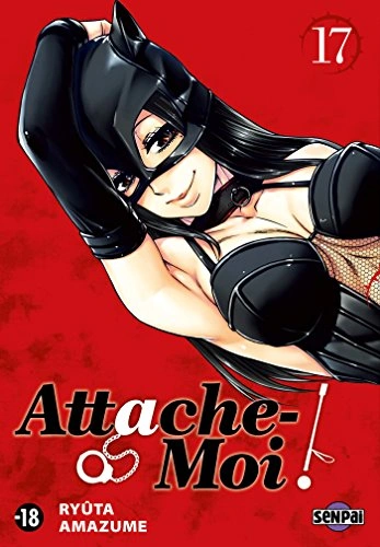 Tome 17
