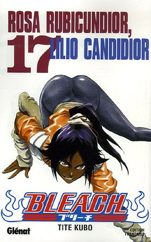 Tome 17