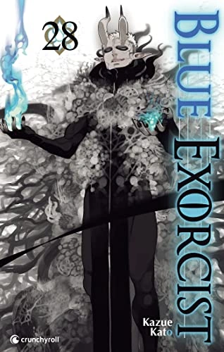 Tome 28