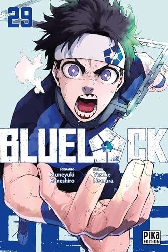 Tome 29