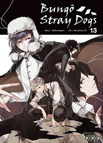 Tome 13