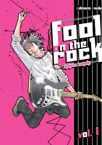 Couverture de Fool on the Rock