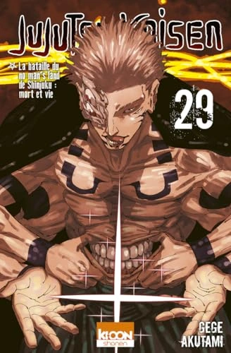 Tome 29