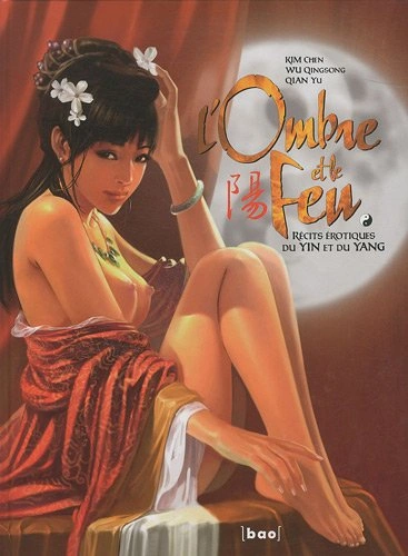 Couverture de L'Ombre et le feu