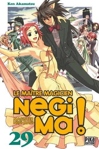 Tome 29