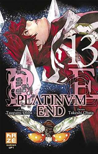 Tome 13