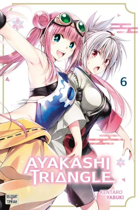 Tome 6