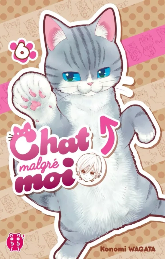 Tome 6