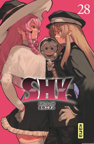 Tome 28