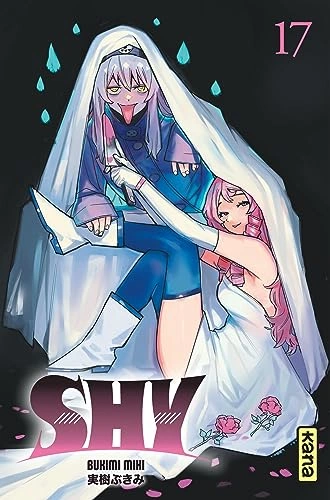 Tome 17