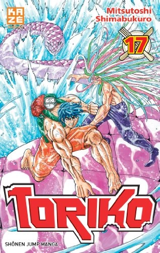 Tome 17