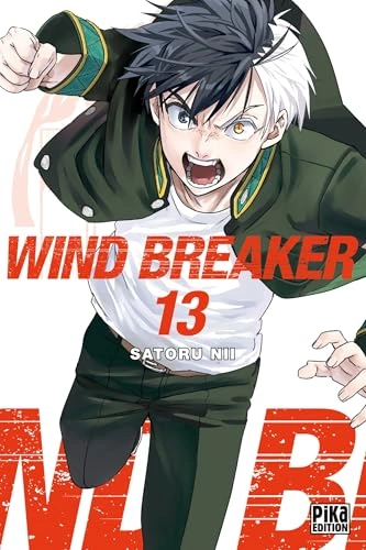 Tome 13